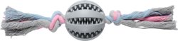 Companion dental chewing ball on rope