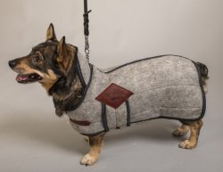 CC Wool Hundtäcke i ull, 40 cm