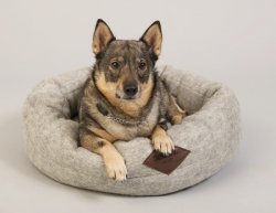 CC Wool Hundbädd i ull, 50*60 cm