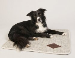CC Wool Hundfilt i ull, 70*80 cm