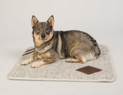 CC Wool Hundfilt i ull, 60*70 cm