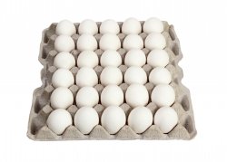 Äggbricka UNIC för 30 ägg